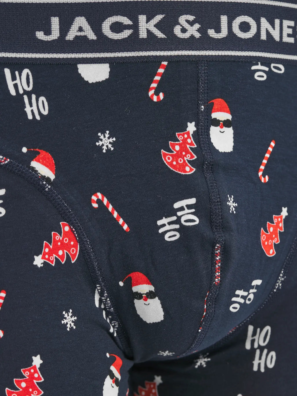 Gift box Santa